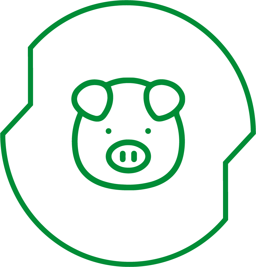 Icon Schweine